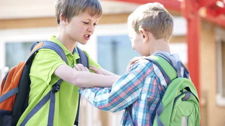 De ce este copilul agresiv la școală? Iată câteva motive, detaliate de Eduard Andrei Vasile, profukool
