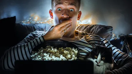 Alimente de sărbători periculoase pentru câini și pisici. Ce să eviți pentru siguranța necuvântătorului tău