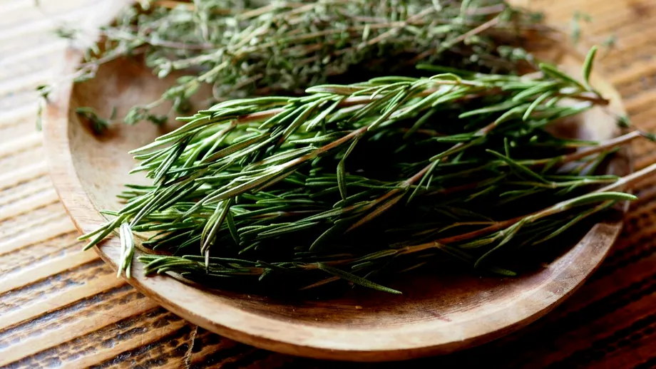 Un antibiotic NATURAL la tine în bucătărie. Condimentul cu beneficii uimitoare pentru sănătate