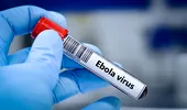 Un nou vaccin experimental împotriva Ebola, dezvoltat la Oxford, ar putea intra în teste în următoarele luni