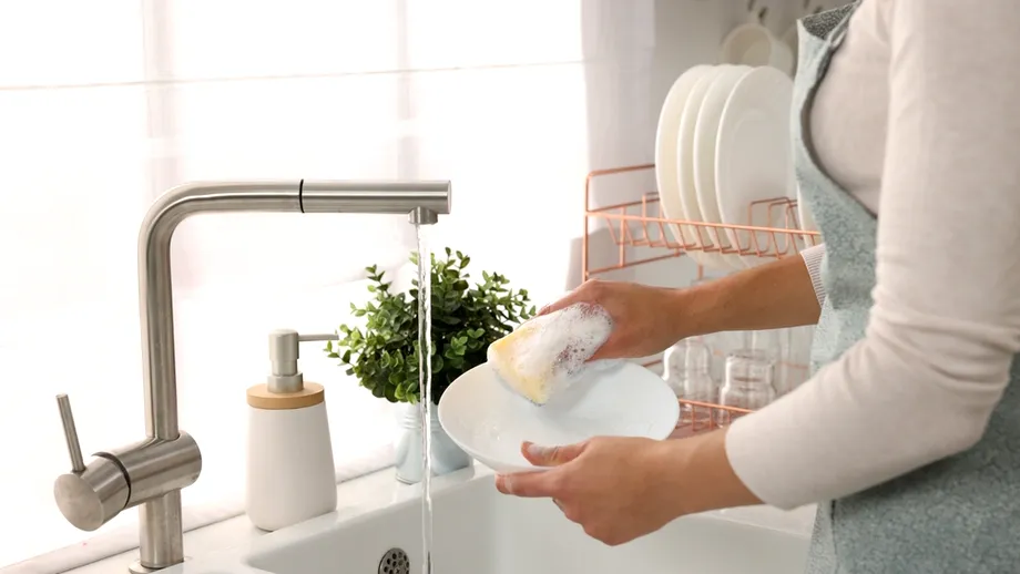 Obiectul ignorat din bucătărie care poate deveni o sursă majoră de contaminare