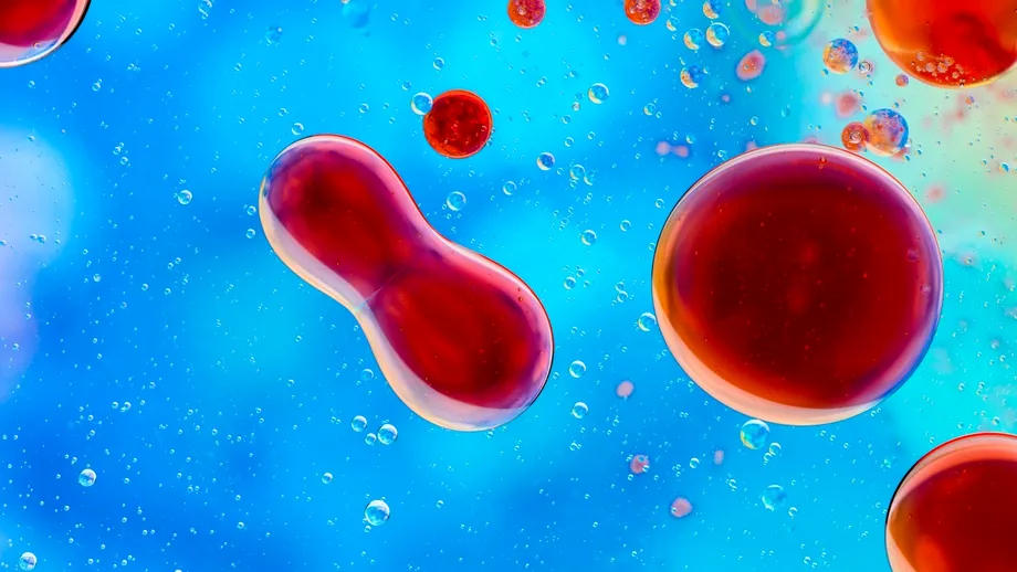 Poate muzica să lupte împotriva cancerului? Cercetătorii brazilieni testează efectele surprinzătoare ale sunetului asupra celulelor canceroase