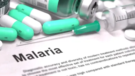 Atenţionare de călătorie după ce mai mulți români au murit infectați cu malarie