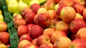 Studiu european alarmant: 85% dintre mere conțin pesticide multiple, unele toxice sau perturbatoare endocrine