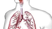 Bronhoscopia - ce este, când e indicată, cum te pregătești pentru această investigație