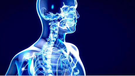 Coloana vertebrală: cele mai importante funcții