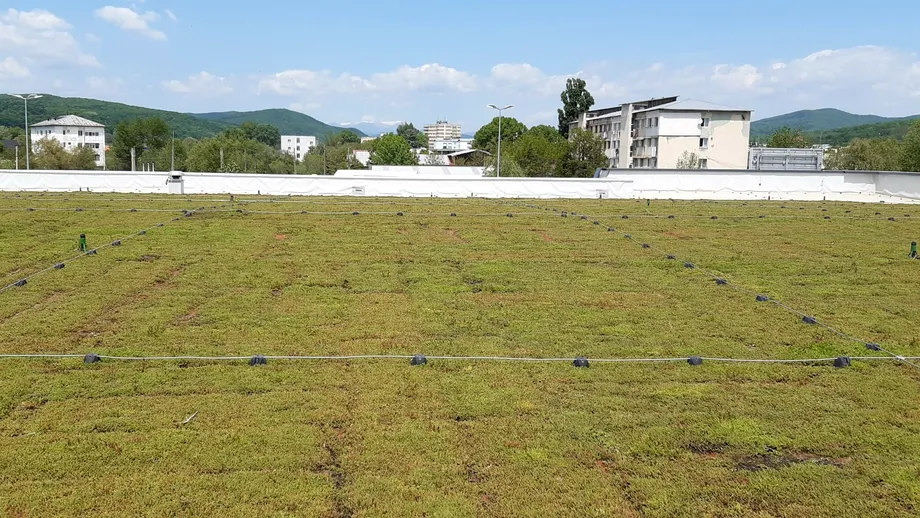 (P) Rolul acoperișurilor verzi în reducerea temperaturii din orașele mari