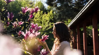 Copacul care aduce noroc dacă îl plantezi în aprilie. Tradiția spune că îți schimbă complet viața!