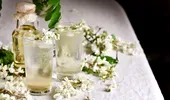 Rețetă de salcâmată – băutură delicioasă din flori de salcâm, fără drojdie