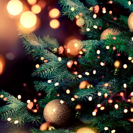 Când se despodobește bradul. Cea mai bună zi pentru noroc și prosperitate