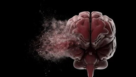 Știai că experiența modifică creierul? Iată de ce