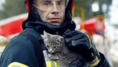 Animalele, victime colaterale în situații de urgență. ISU Iași intervine cu echipament special pentru salvarea lor / VIDEO