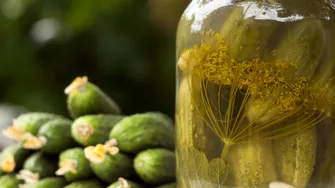 Ingredientul simplu care poate ajuta murăturile să rămână crocante! Secretele bunicii pentru a se păstra toată iarna