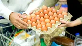 Ouăle din supermarket, sub lupă înainte de sărbători. Ce au descoperit experții și care sunt cele mai sigure produse