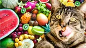 Fructul adorat de oameni, care însă îți poate omorî pisica. Nu încerca să o hrănești cu așa ceva!