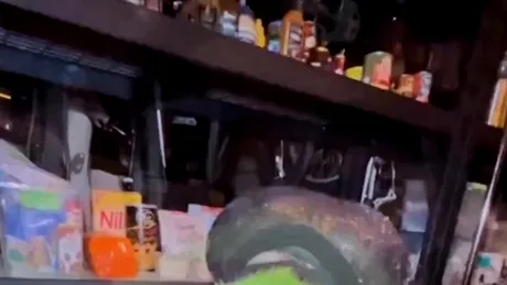 Madonna, surprinsă în timp ce bea apa din bolul câinelui