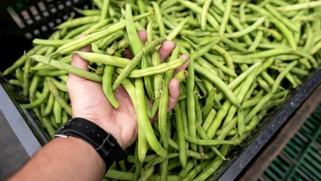 Alimente care te pot ajuta să trăiești mai mult. Le găsești pe toate tarabele din piață. „Sunt adevăratul secret al longevității”