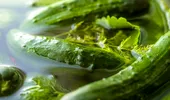 Secretul castraveților în oțet care rămân crocanți toată iarna. Ingredientul pe care gospodinele cu experiență nu îl omit niciodată