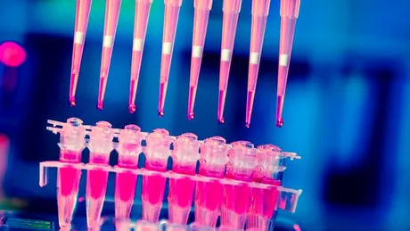 Aproape 600 de clinici din SUA oferă tratamente neautorizate cu celule stem