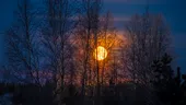 Ultima Lună Plină a anului luminează cerul pe 4 decembrie. Ce semnifică „Luna Rece”, un spectacol astronomic rar