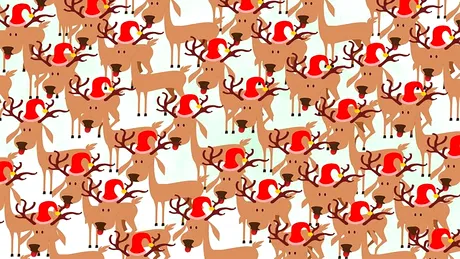 Test de logică de Ajun | Care dintre renii lui Moș Crăciun e diferit de ceilalți?