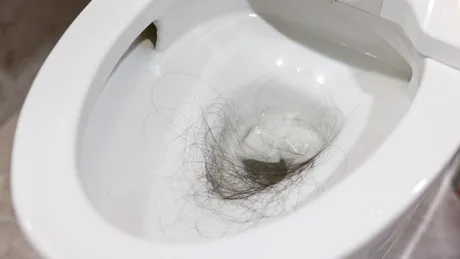De ce nu e bine să arunci părul în vasul de toaletă. Ce trebuie să faci cu el, de fapt