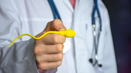 Mituri despre fertilitatea bărbaților: ce spune știința