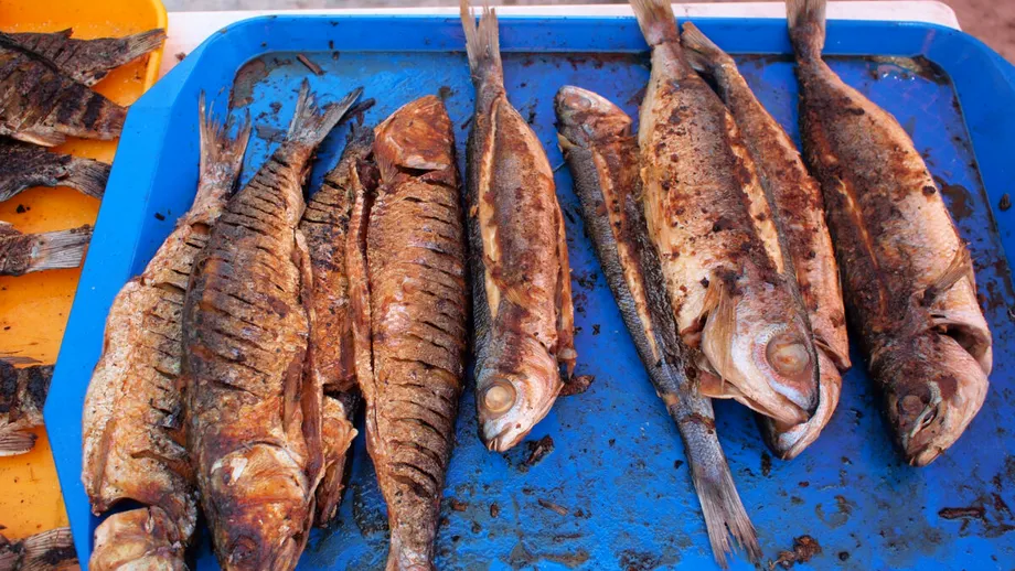 Cel mai curat pește din România - Scrumbia de Dunăre. Beneficii pentru sănătate și 4 rețete de încercat