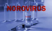 Avertisment urgent privind un nou val de norovirus în Marea Britanie. Spitalele sunt sub presiune din cauza numărului record de cazuri