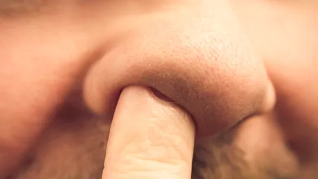 Scobitul în nas ar putea avea o legătură surprinzătoare cu Alzheimer – ce arată un studiu pe șoareci