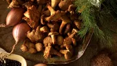 Gălbiorii - unele din cele mai delicioase şi sănătoase ciuperci