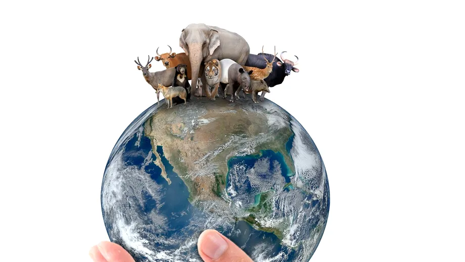 Animalul care trăiește cel mai mult de pe Terra. Poate ajunge și la 2.000 de ani