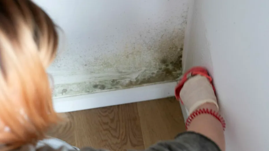 Elimină mucegaiul de pe pereți în 10 minute cu o soluție naturală, făcută în casă