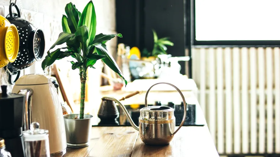 Cum cureți rapid grăsimea lipicioasă de pe blatul de bucătărie! Metode naturale care chiar funcționează