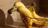 De ce să nu mai ții bananele în bolul de fructe. Trucul care le face să reziste mai mult timp fără să se strice