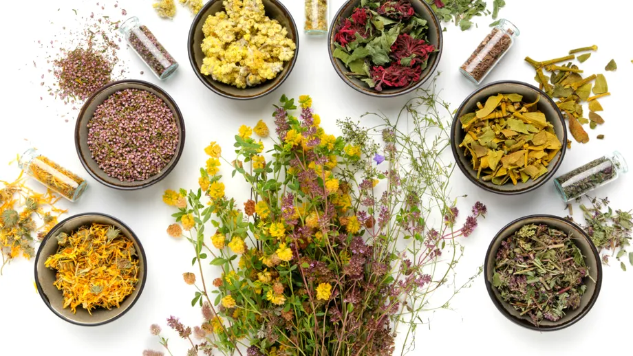 Cele mai puternice plante medicinale pentru sănătate: ce să folosești pentru detoxifiere, rinichi, memorie sau inflamații