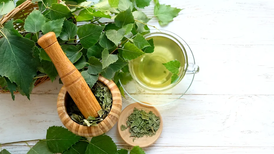 Extractul de ceai verde scade glicemia și îmbunătățește sănătatea intestinală