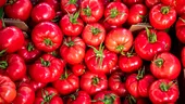 Secretul roșiilor cu adevărat gustoase. Semnele care arată că ai ales un fruct plin de aromă