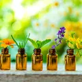 Cele trei uleiuri esențiale care nu trebuie să-ți lipsească vara. Protejează de insecte, răcoresc și ajută la relaxare