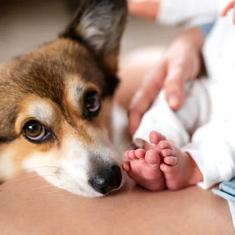 De ce e important ca bebelușii să crească cu un câine în casă. Cum le întărește imunitatea, de fapt