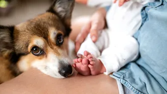 De ce e important ca bebelușii să crească cu un câine în casă. Cum le întărește imunitatea, de fapt