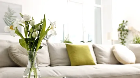 Obiectul care aduce noroc în casa ta. Cum și unde să-l așezi ca să-ți împlinești toate dorințele