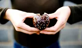 Alimente „controversate” care pot proteja inima. Ce spun nutriționiștii despre ouă, cartofi și ciocolata neagră