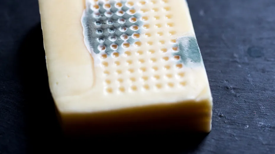 Brânza mucegăită în frigider poate fi sigură de consum uneori. Cum diferă de brânza cumpărată cu mucegai