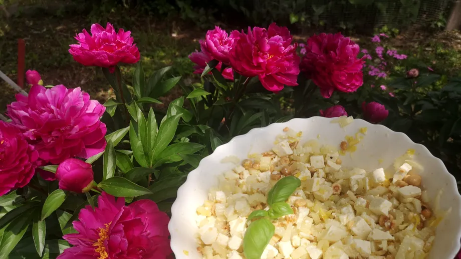 Salata verii Bergera – răcoroasă și sățioasă. Rețetă din Italia