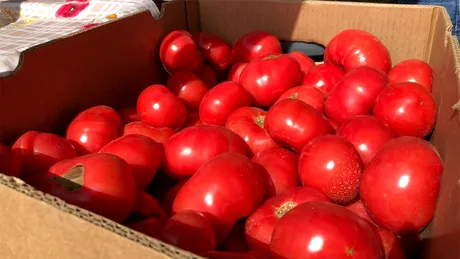 Mănânci roșii în fiecare zi? Ce se întâmplă în organismul tău, de fapt