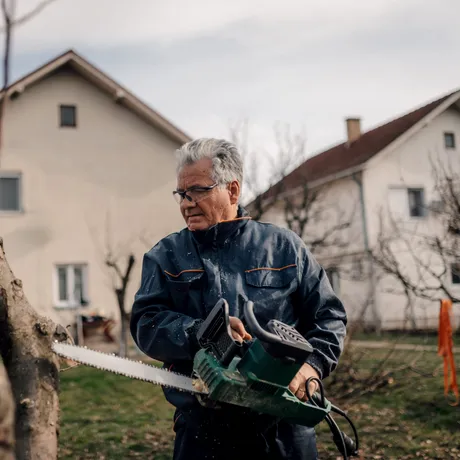 Poți tăia crengile copacului vecinului care intră pe proprietatea ta? Ce spune legea din România