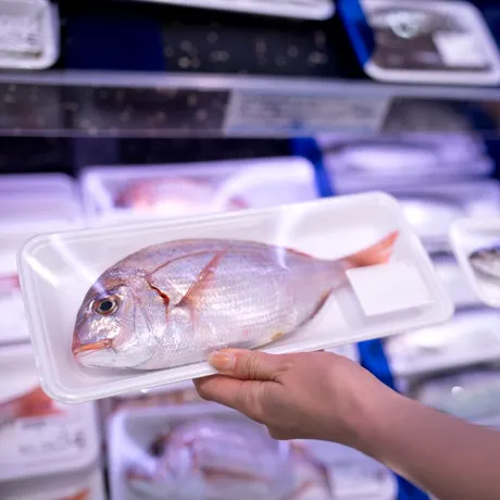 Speciile de pește care pot fi periculoase pentru sănătate. Un expert în nutriție avertizează: se regăsesc în toate supermarketurile din România