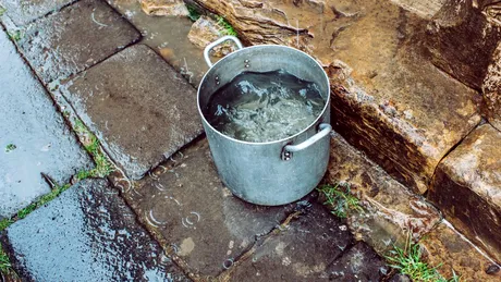 Ce riști dacă bei apă de ploaie? Avertismentul savanților: Conține „chimicale eterne” asociate cu numeroase boli grave