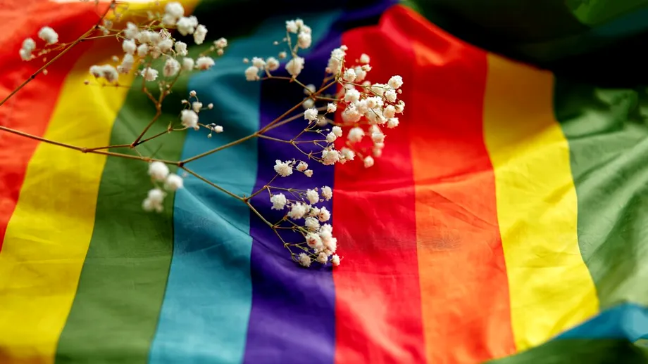 STUDIU. România, la coada clasamentului în ceea ce privește susținerea căsătoriei cuplurilor de același sex